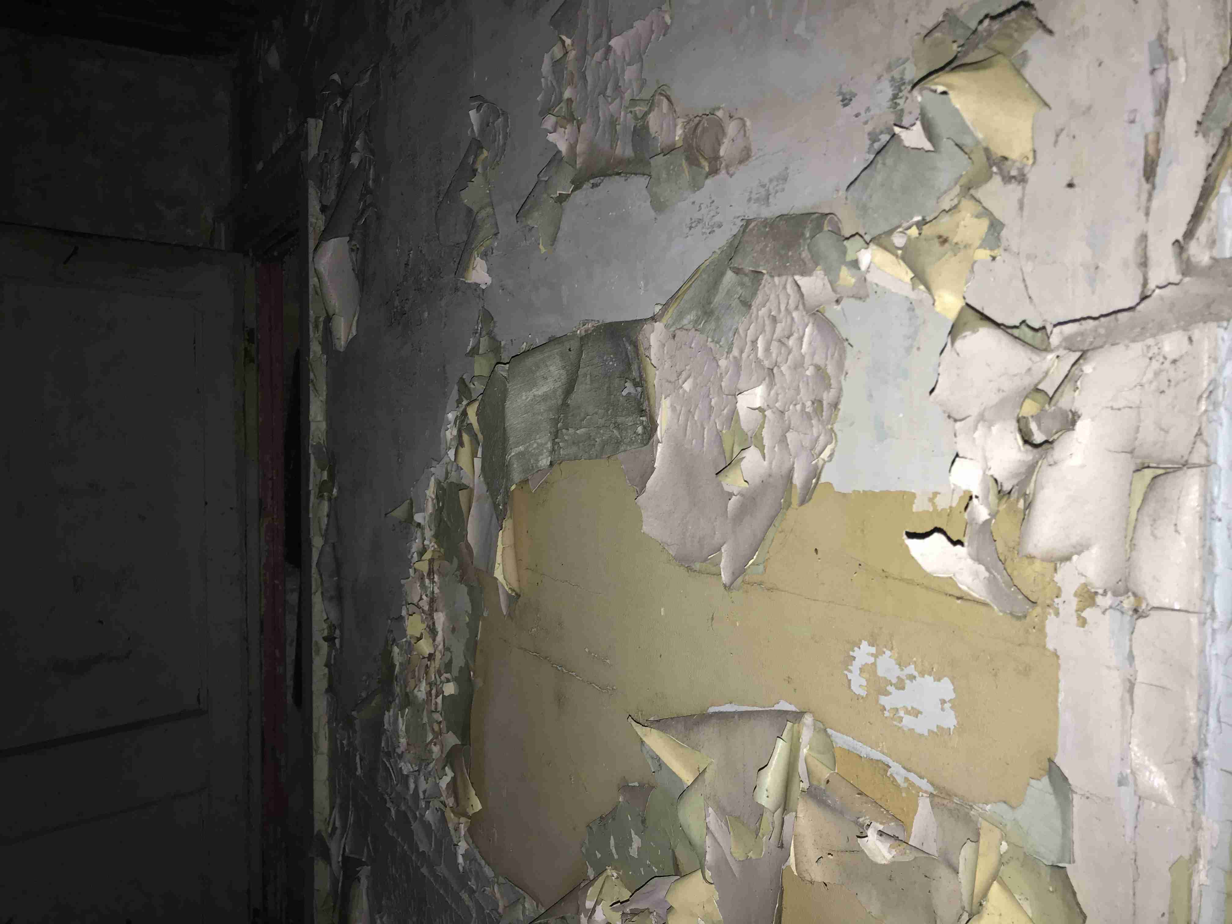 Photo Aug 20, 10 22 04 AM.jpg